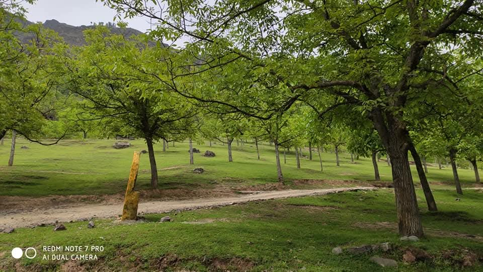 A glimpse of the site where the Government Degree College Bomai now stands.